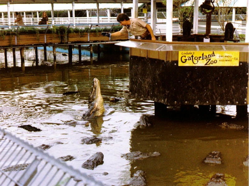 fl gatorland 04.jpg